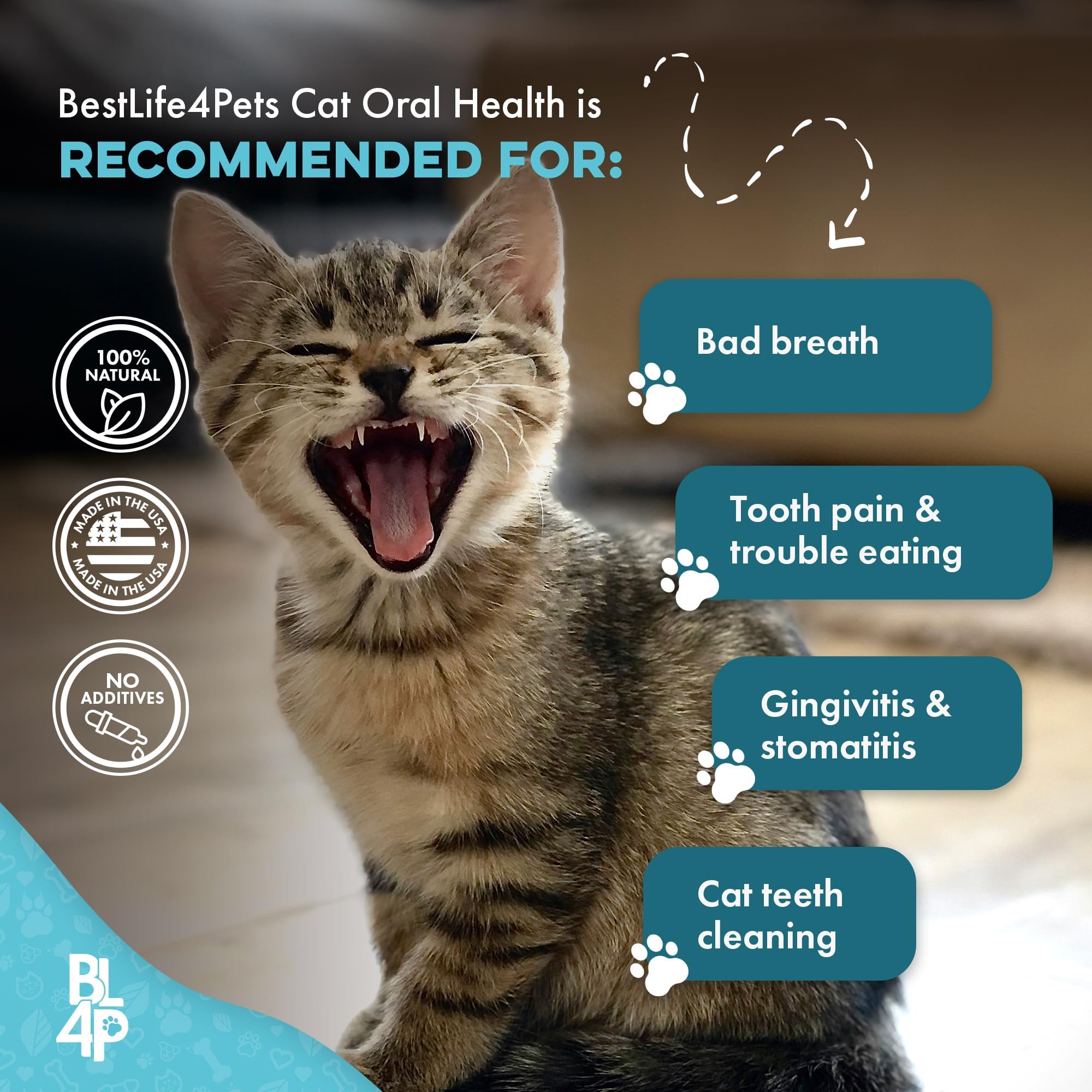 BestLife4Pets: fabrication etats-unis naturelle pour chat