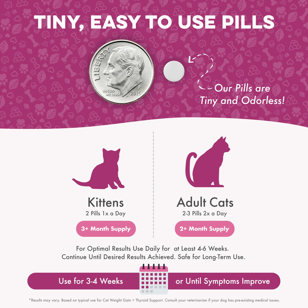 BestLife4Pets Gain Poids Chat: soutien d'alimentation quotidienne pour chats.