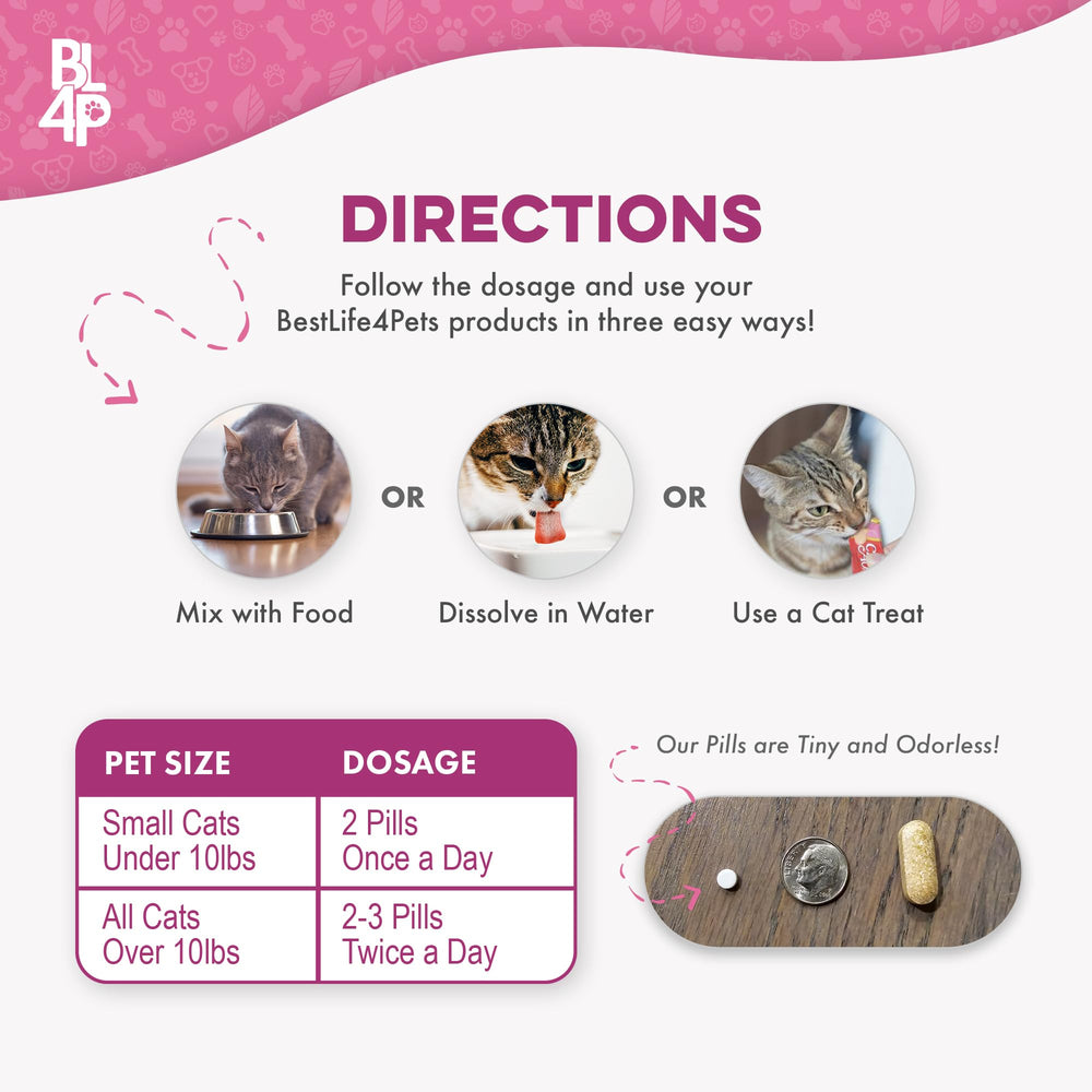 BestLife4Pets Gain Poids Chat: pellets sans arôme adaptés pour repas sensibles.