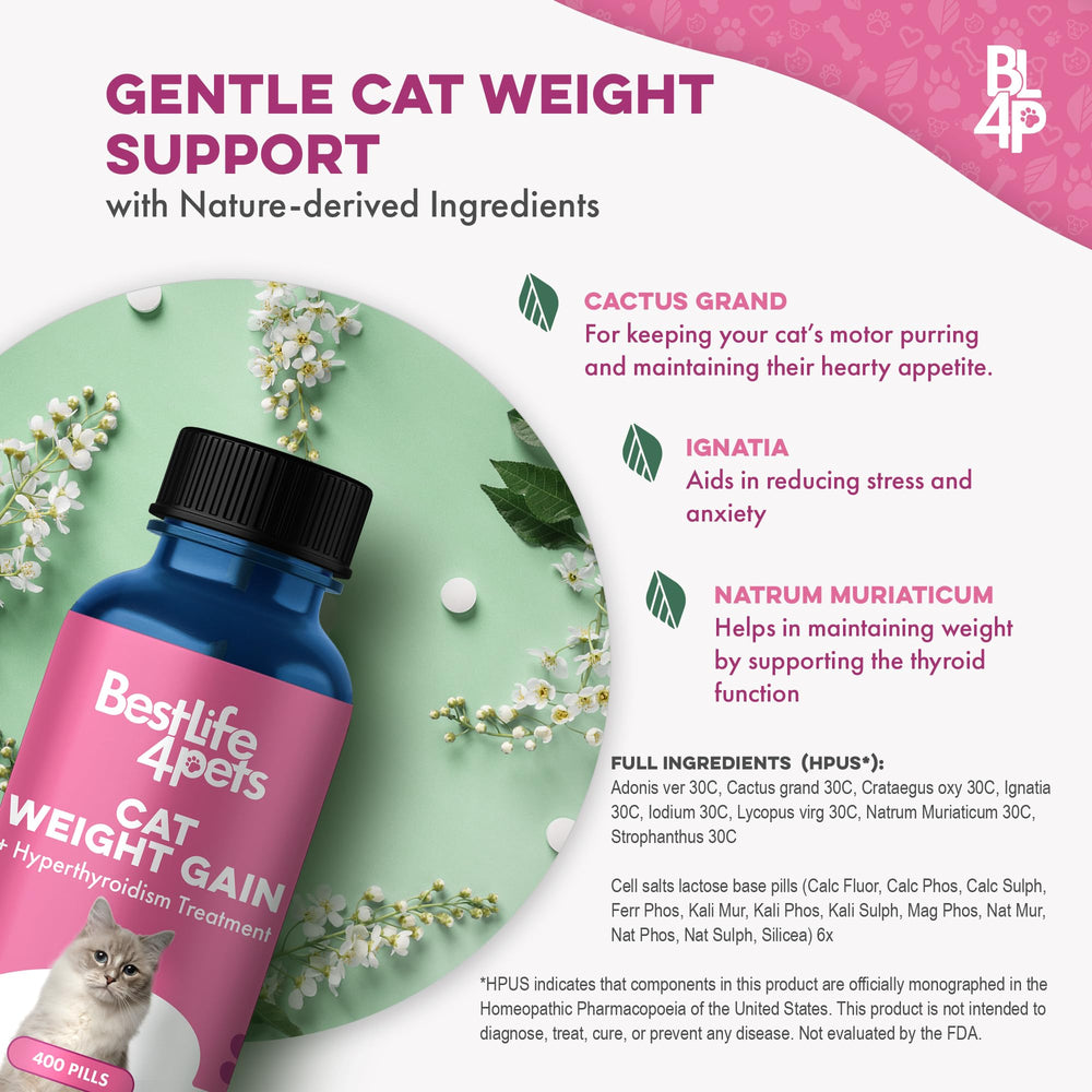 BestLife4Pets Gain Poids Chat: routine facile pour un pelage plus sain.