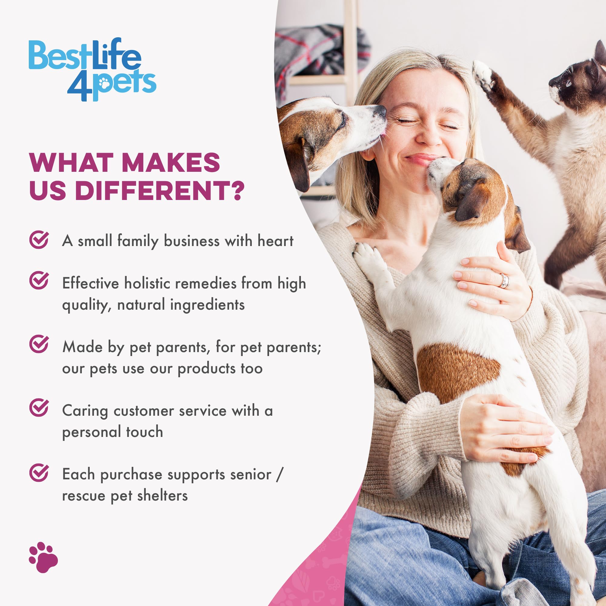 BestLife4Pets Gain Poids Chat: chat senior plus calme grâce à une prise régulière.