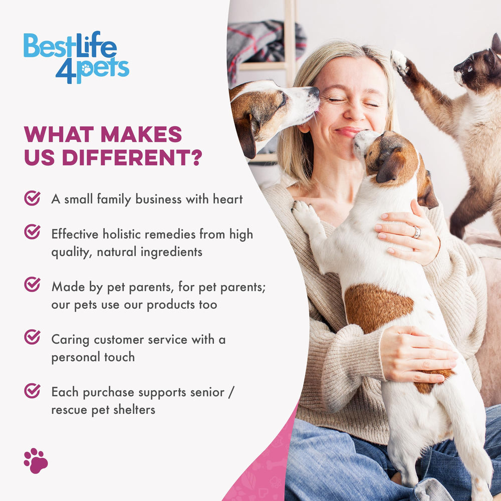 BestLife4Pets Gain Poids Chat: chat senior plus calme grâce à une prise régulière.