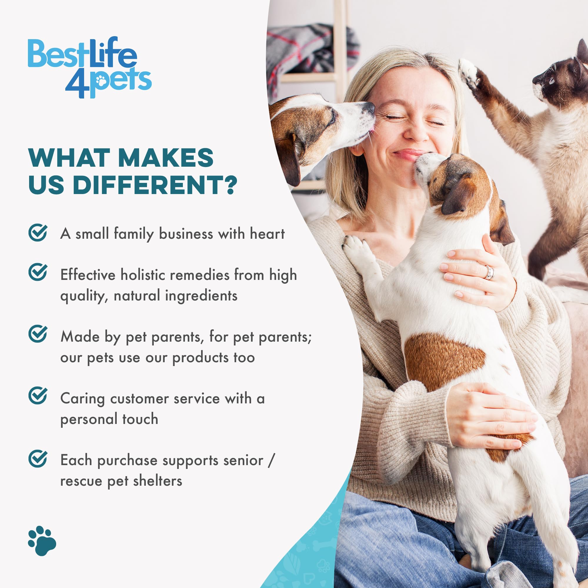 BestLife4Pets: gencives plus confortables chez les chats