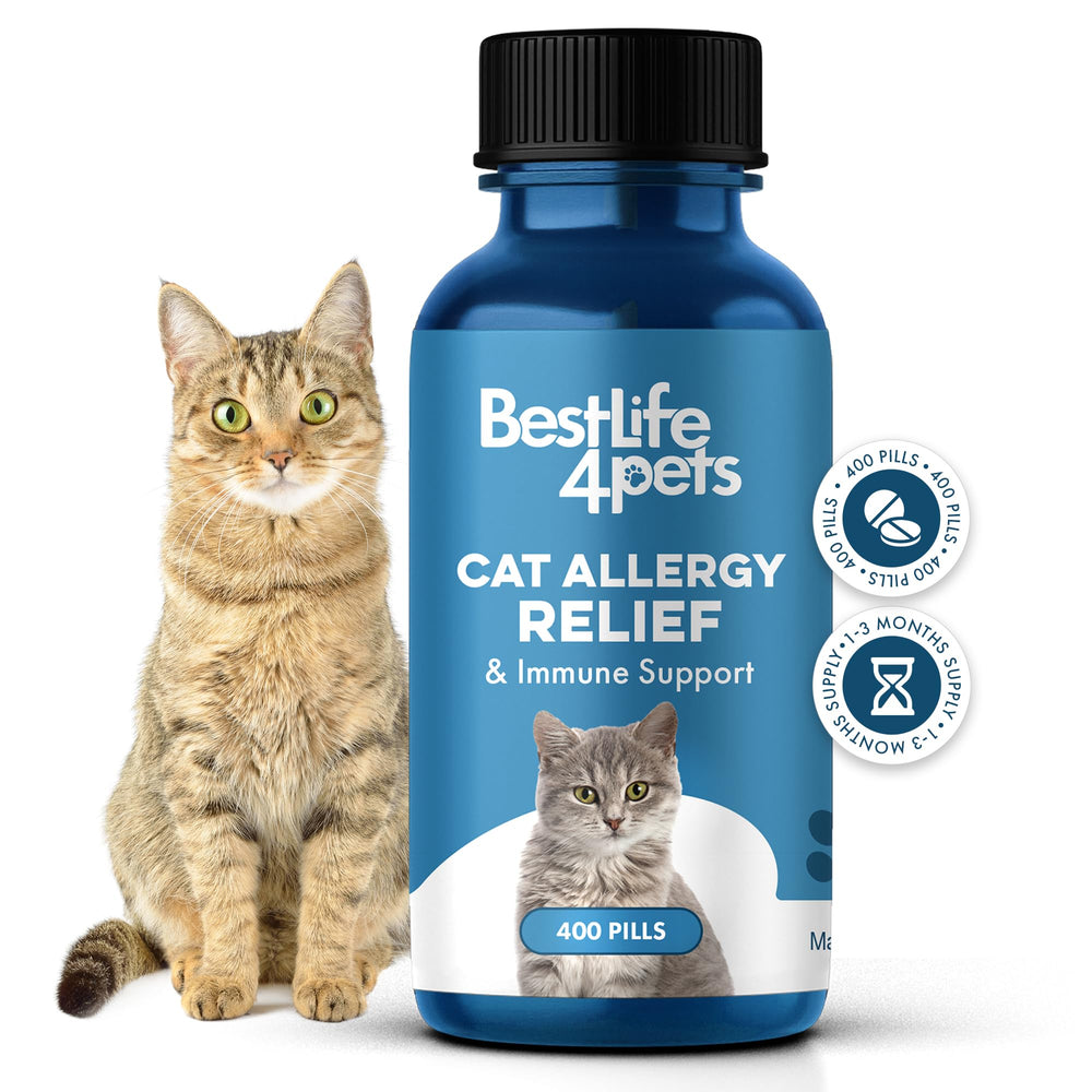 BestLife4Pets Immunité Chat – Bouteille pilules, soutien naturel quotidien.