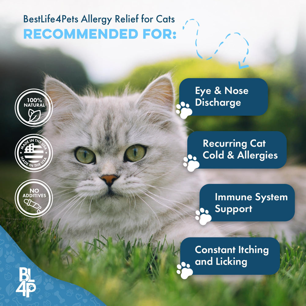 BestLife4Pets Immunité Chat – Ingrédients naturels, sans OGM ni additifs artificiels.