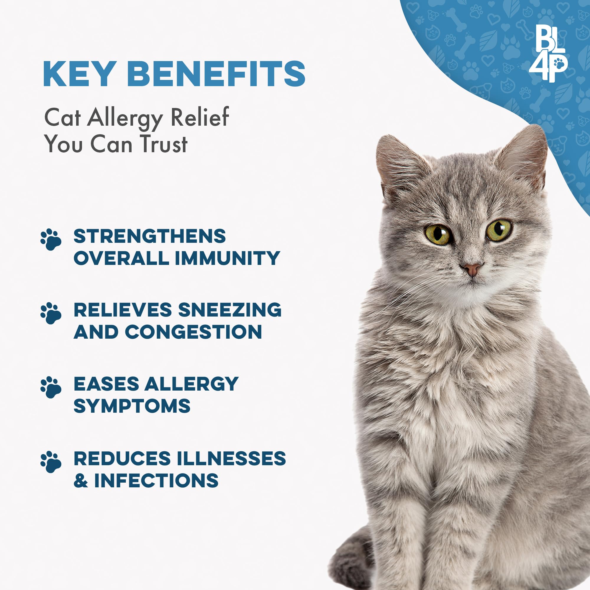 BestLife4Pets Immunité Chat – Pilules faciles à dissoudre dans l'eau, administration pratique.