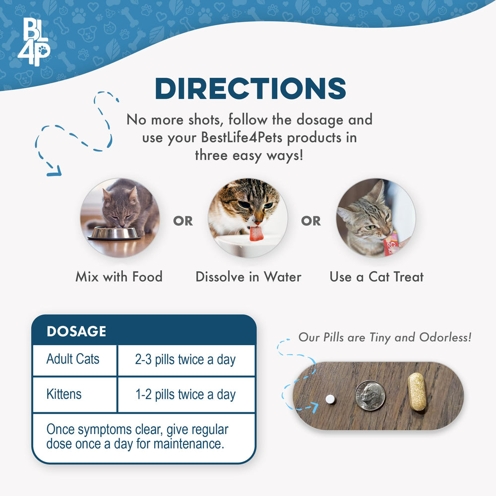 BestLife4Pets Immunité Chat – Formule sûre, compatible avec d'autres traitements.