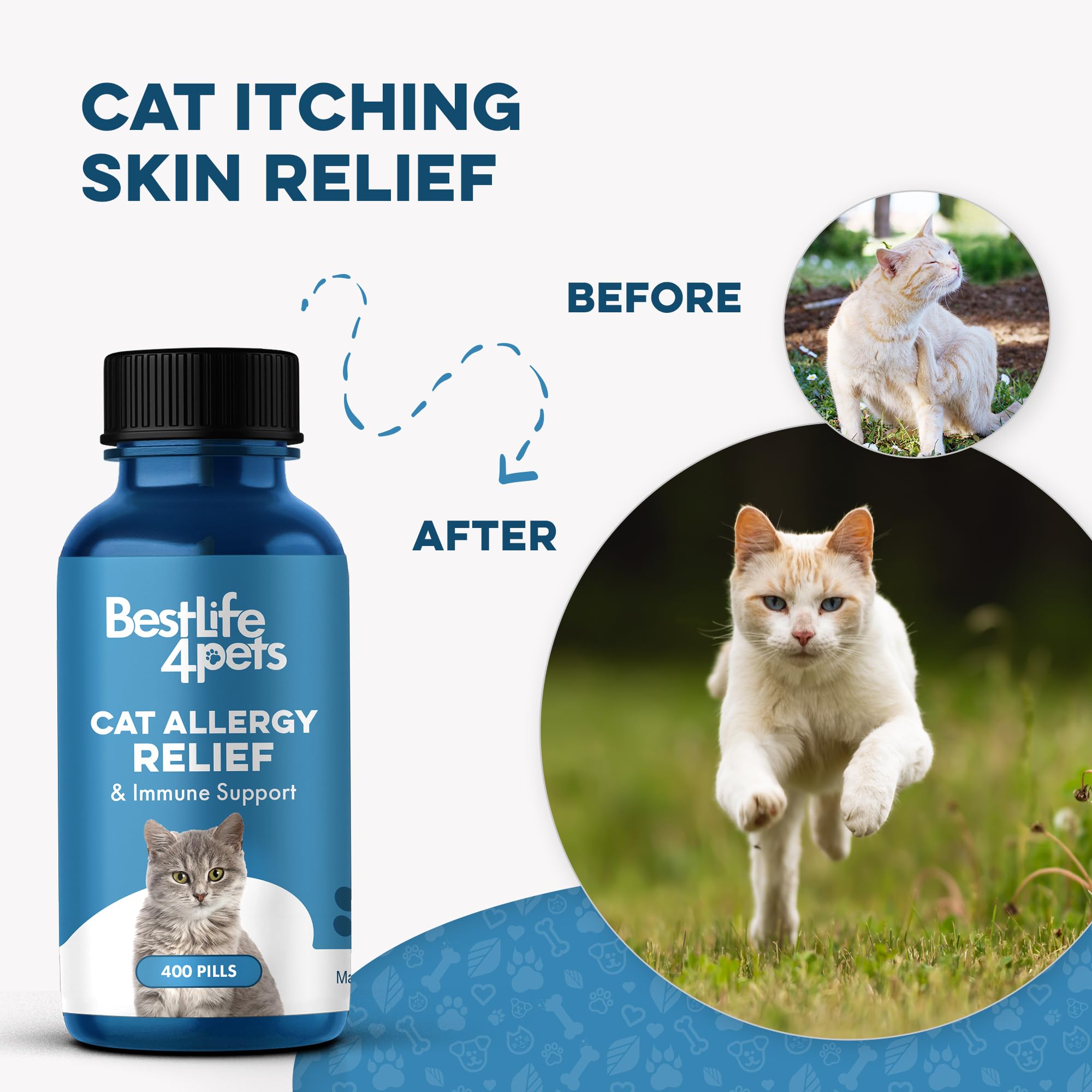 BestLife4Pets Immunité Chat – Usage quotidien simple, soutien immunitaire sans effort.