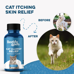 BestLife4Pets Immunité Chat – Usage quotidien simple, soutien immunitaire sans effort.
