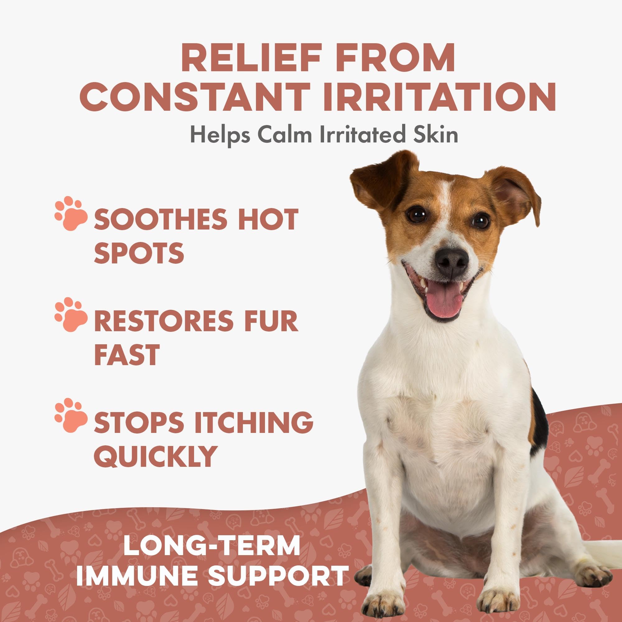 BestLife4Pets Mange Support – pilules-inodores, administration simple