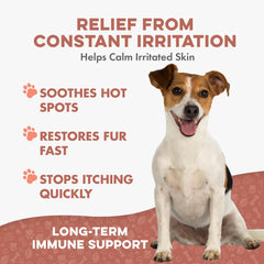BestLife4Pets Mange Support – pilules-inodores, administration simple