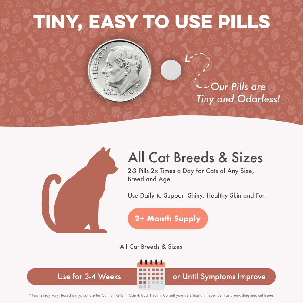 BestLife4Pets administration facile – utilisation quotidienne sans effort.