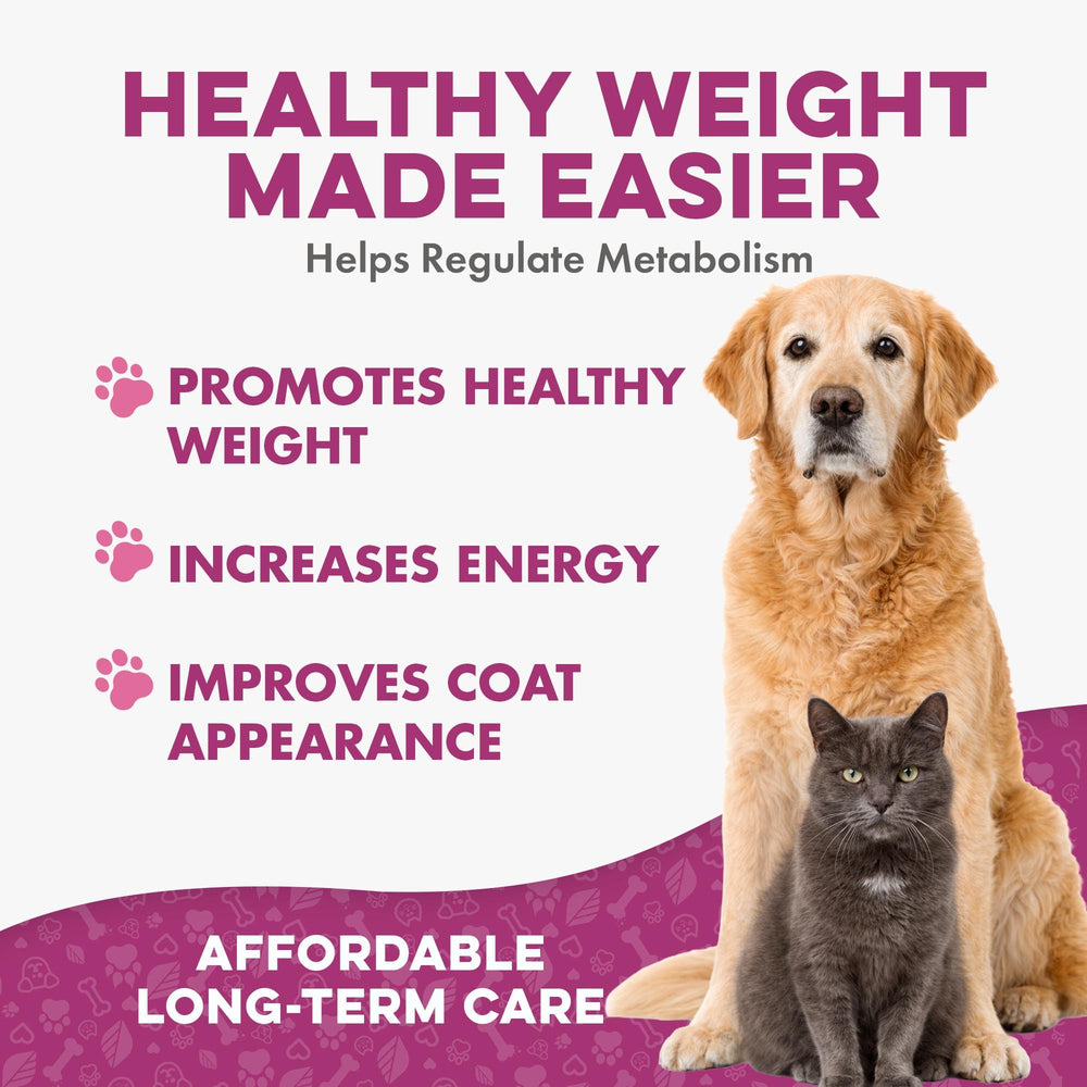 BestLife4Pets – pilules dans nourriture humide, intégration simple aux repas.