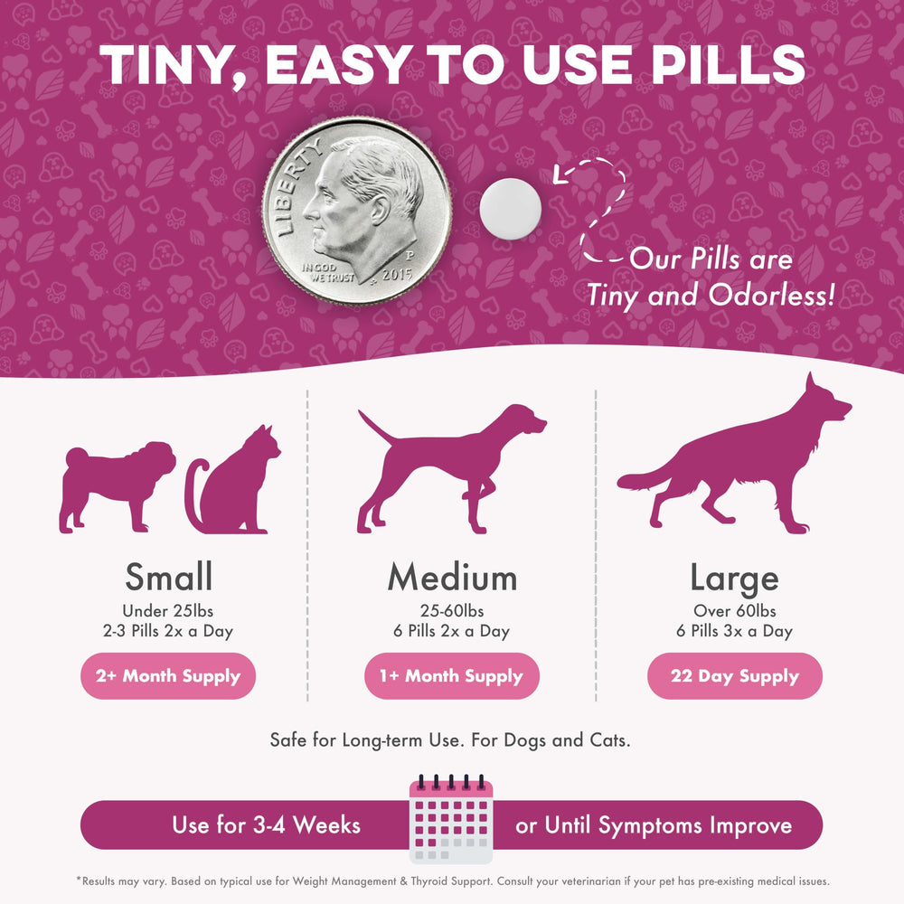 BestLife4Pets – option sûre pour seniors et foyers multi-animaux.