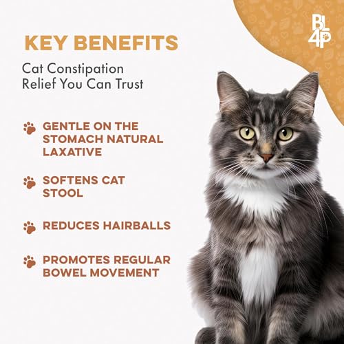 BestLife4Pets – soulagement constipation chat, routine régulière possible.
