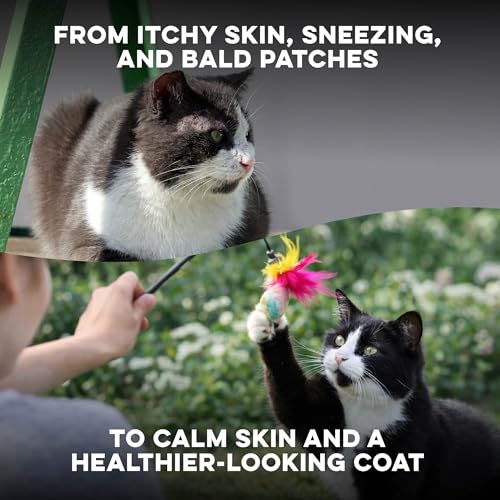 BestLife4Pets tablettes allergies chat – soutien naturel pour la peau.
