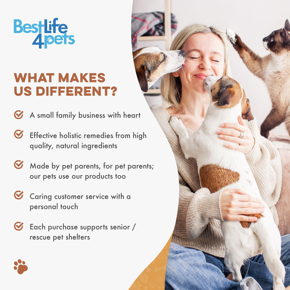 BestLife4Pets – usage quotidien, facile à intégrer à la routine.