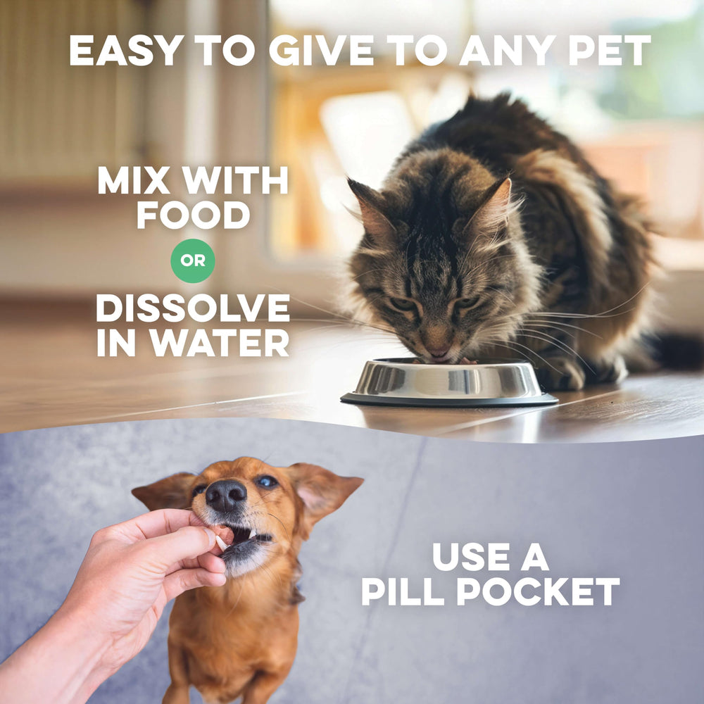 BestLife4Pets Walk-Easy – utilisation quotidienne pour le soutien articulaire.