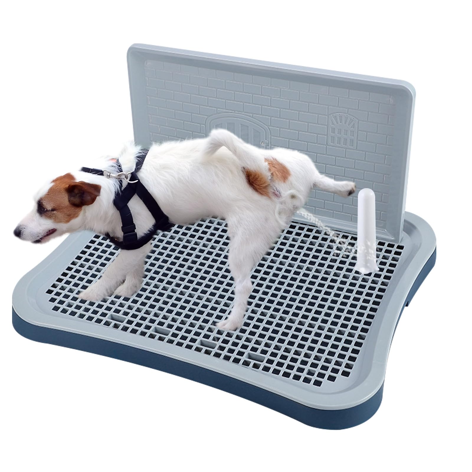 BESTMAN MARINE support-toilette petit-chien intérieur: facilite l'entraînement et garde les pattes sèches.