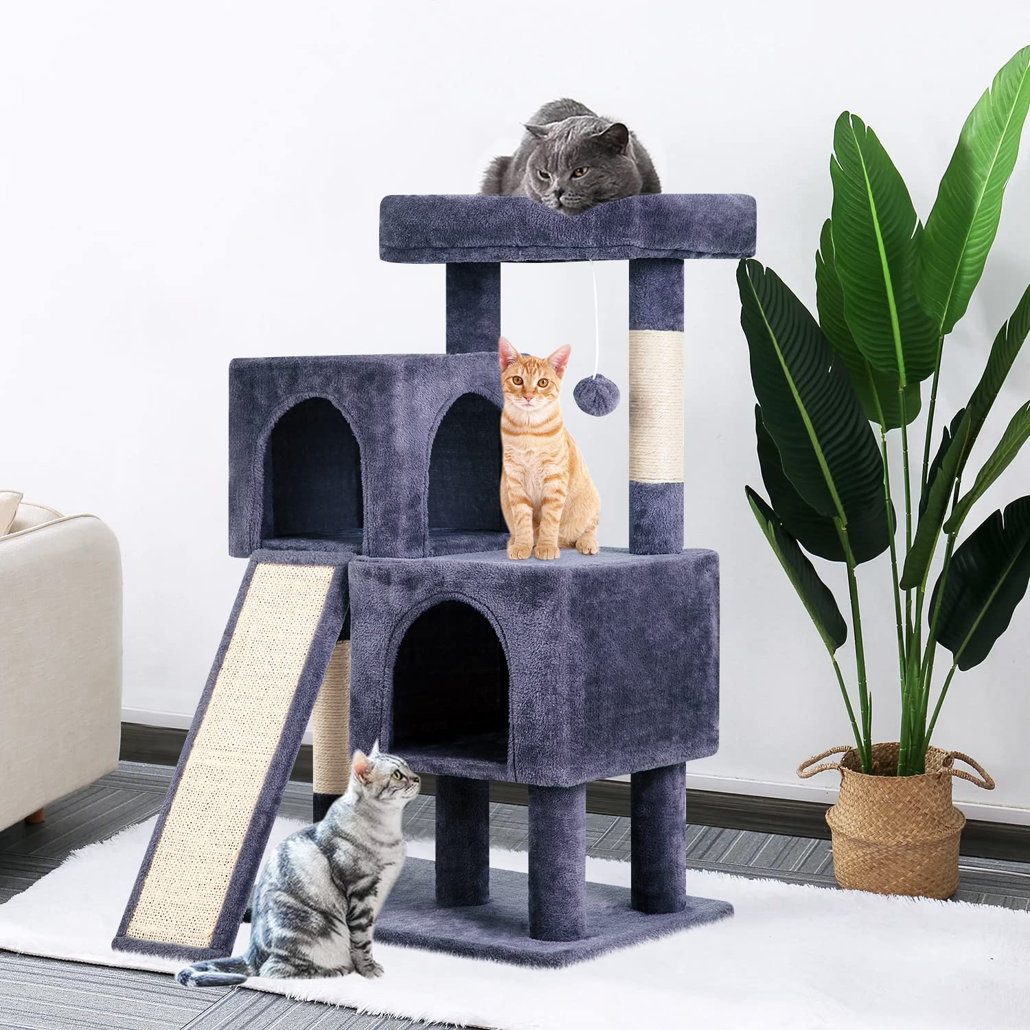 BestPet rampe de grattage bas, accès facile et protection des meubles.