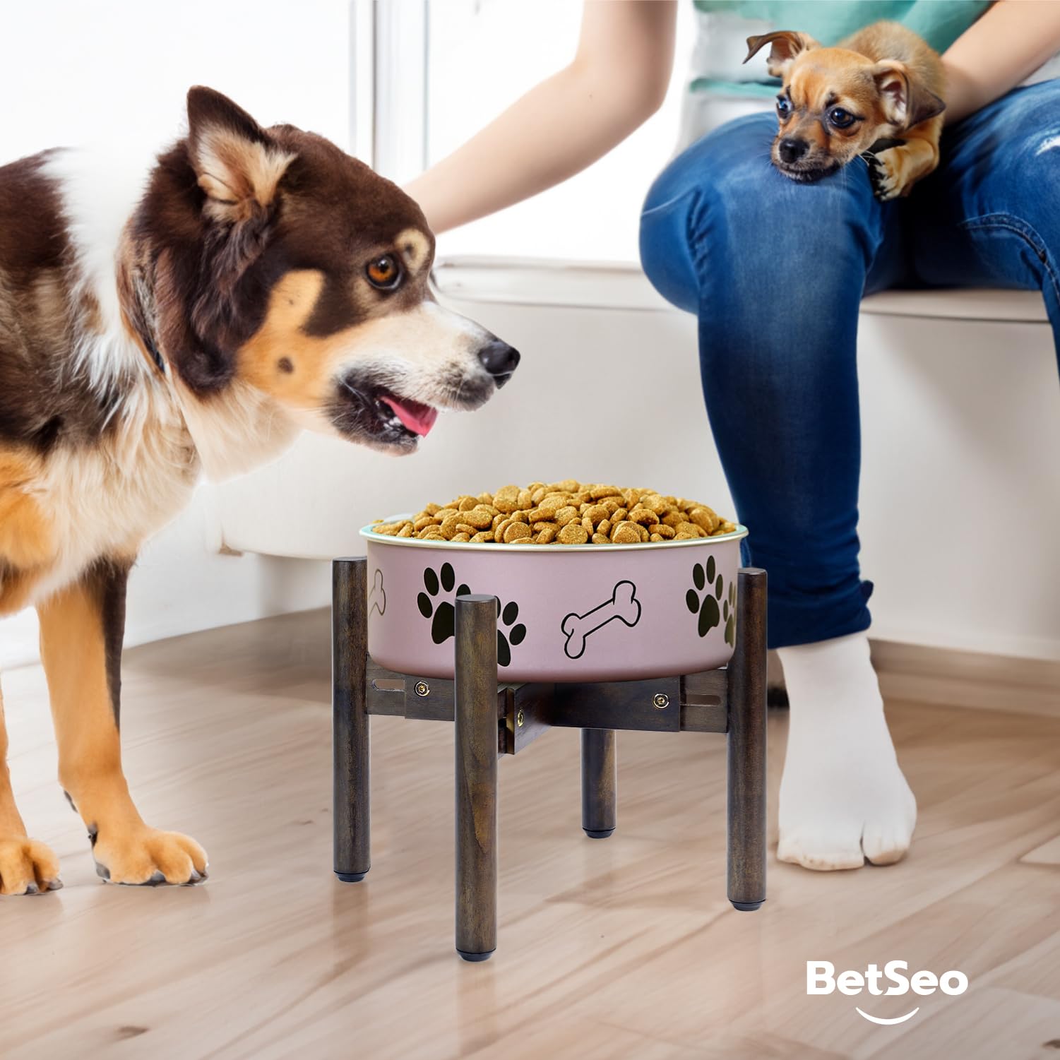BETSEO 2Pack idéal pour nourriture et eau séparées rangement pratique