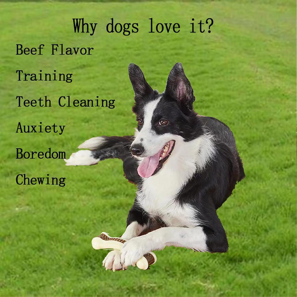 BETTEPROD Os chien forme os reel, facile à saisir et à mâcher.