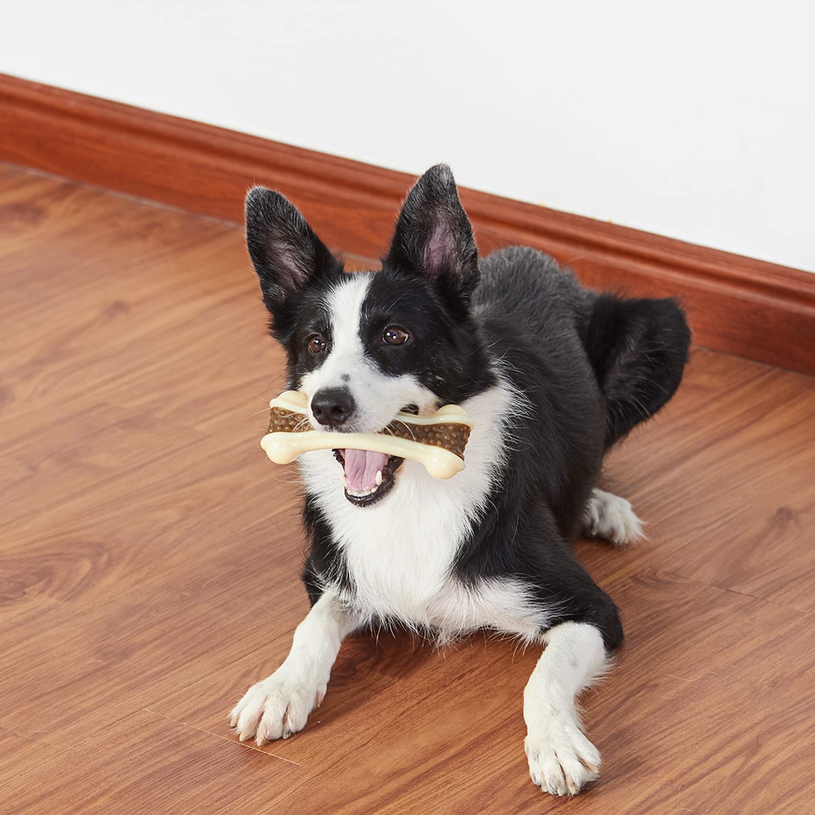 BETTEPROD usage tout-type chien, jouet durable pour différents niveaux de mastication.