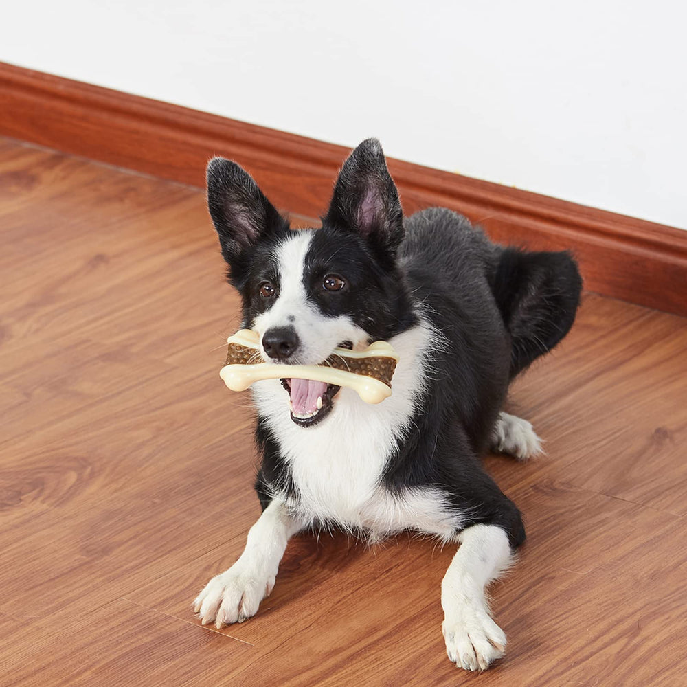 BETTEPROD usage tout-type chien, jouet durable pour différents niveaux de mastication.