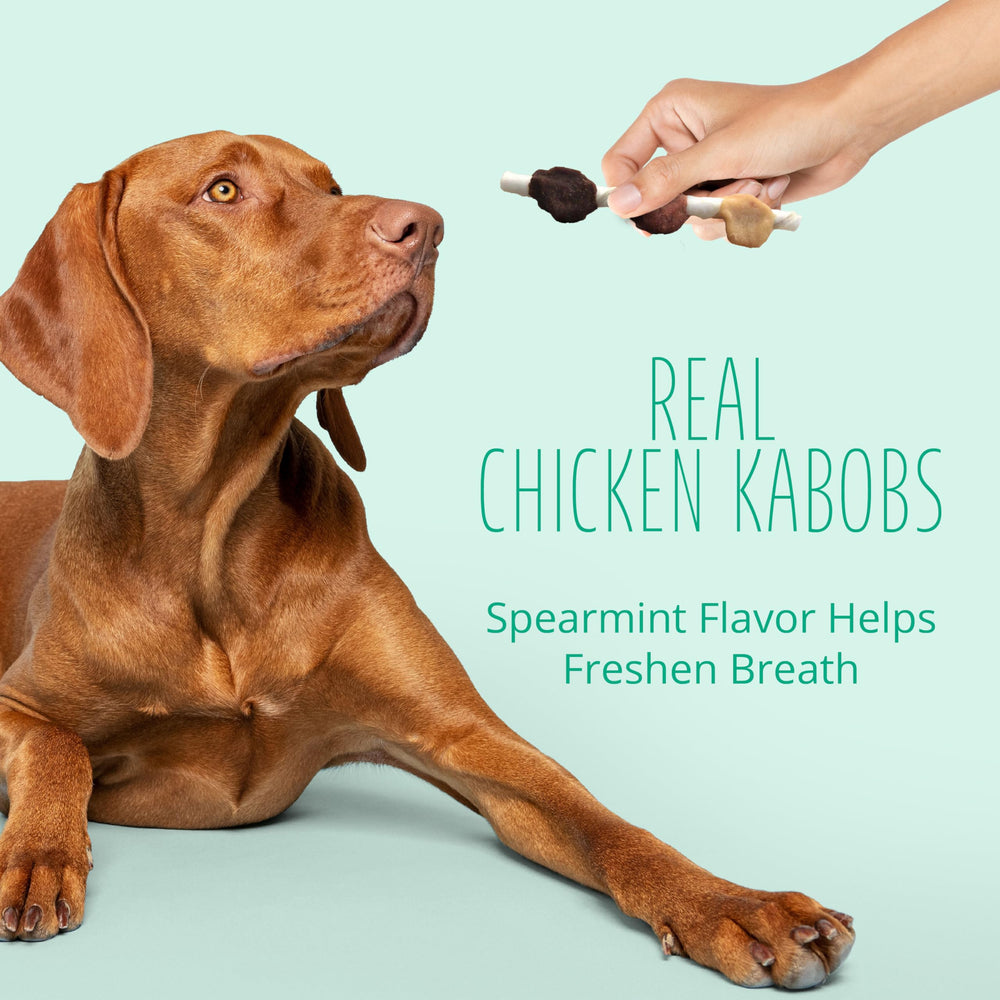 Better Belly Dental Kabobs sans-gluten, option sans gluten pour votre chien.
