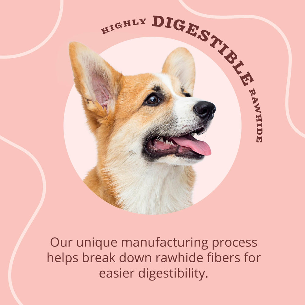 Better Belly Emballage 10 pièces — format pratique pour récompenser votre chien.