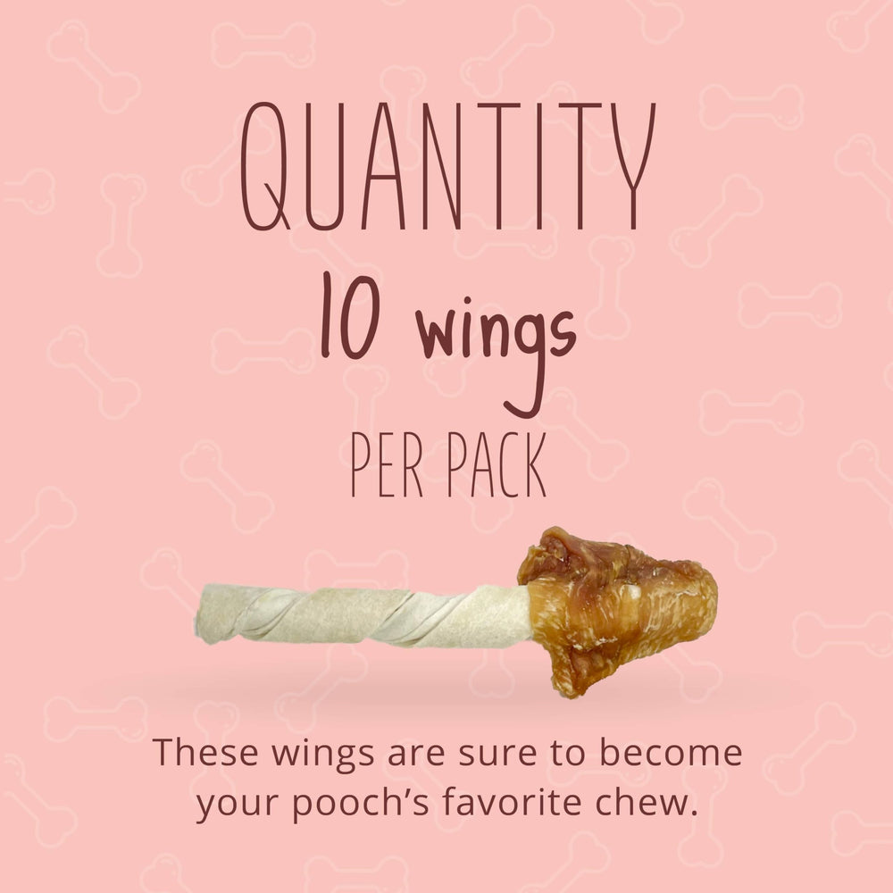 Better Belly Ailes Sans Gluten et Sans Grain — option digestible pour chien sensible.