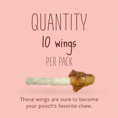 Better Belly Ailes Sans Gluten et Sans Grain — option digestible pour chien sensible.