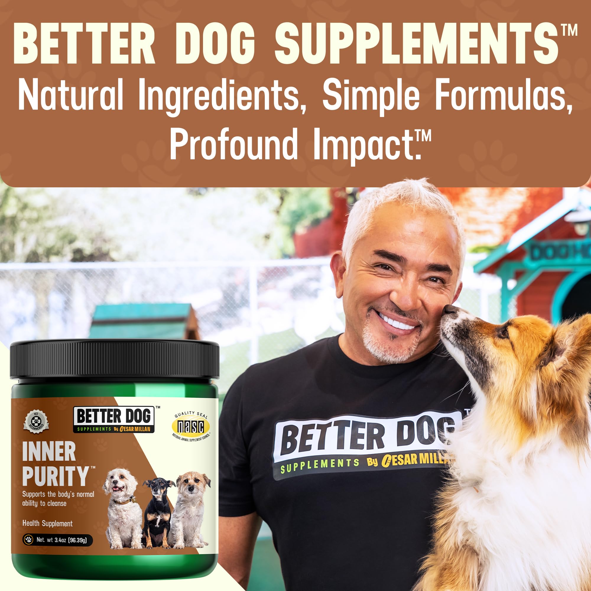 Better Dog Supplements Inner Purity – boîte 60 jours, bon rapport qualité-prix.