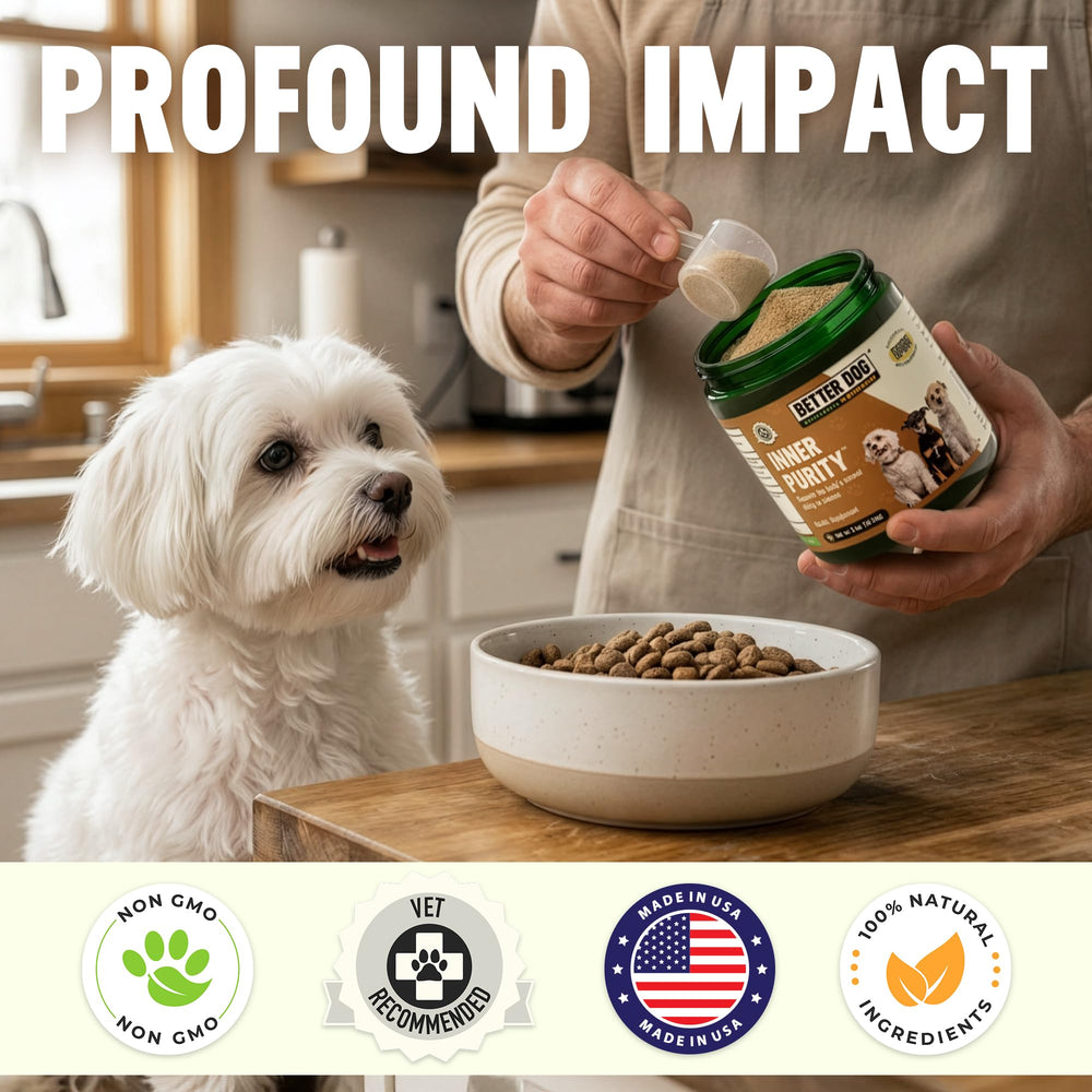 Better Dog Supplements Inner Purity – ingrédients clés sans additifs, qualité premium.