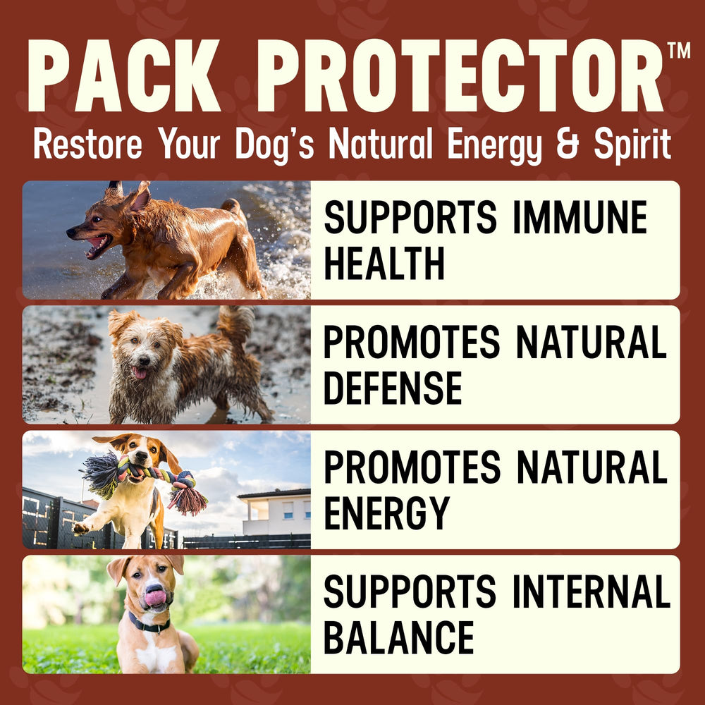 Better Dog Supplements Pack Protector – cuillère-mesure pour dosage précis