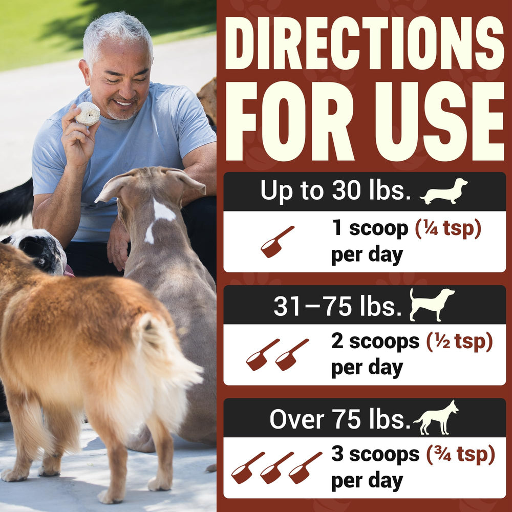 Better Dog Supplements Pack Protector – étiquette claire et informations d’utilisation