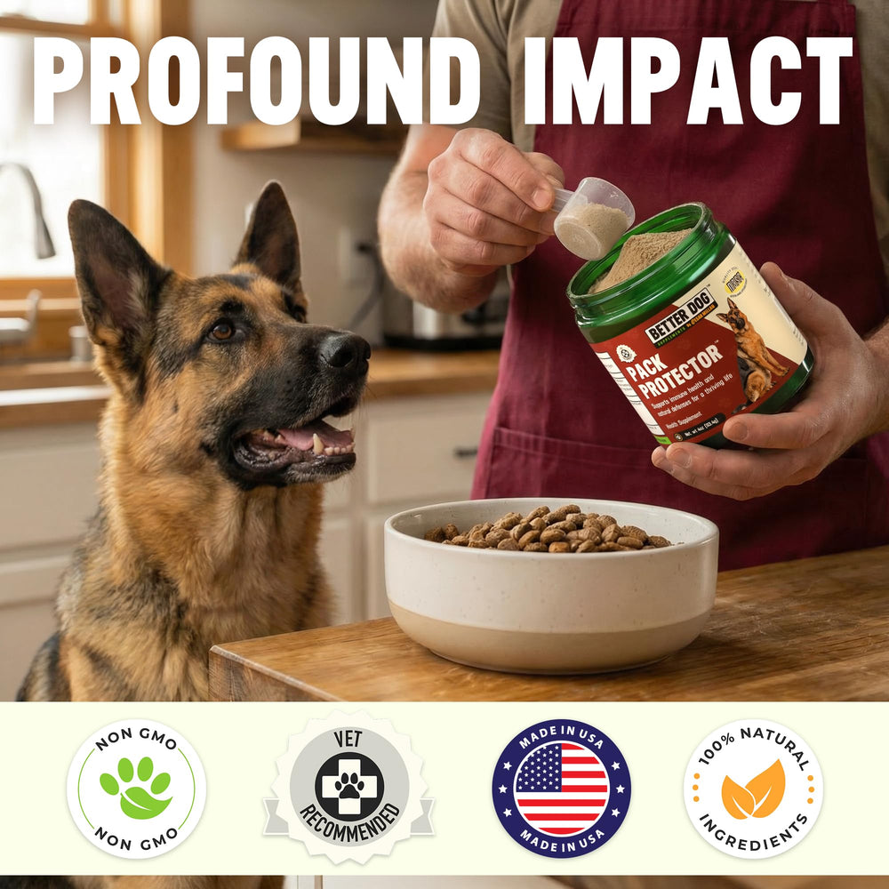 Better Dog Supplements Pack Protector – ingrédients naturels sans additifs artificiels