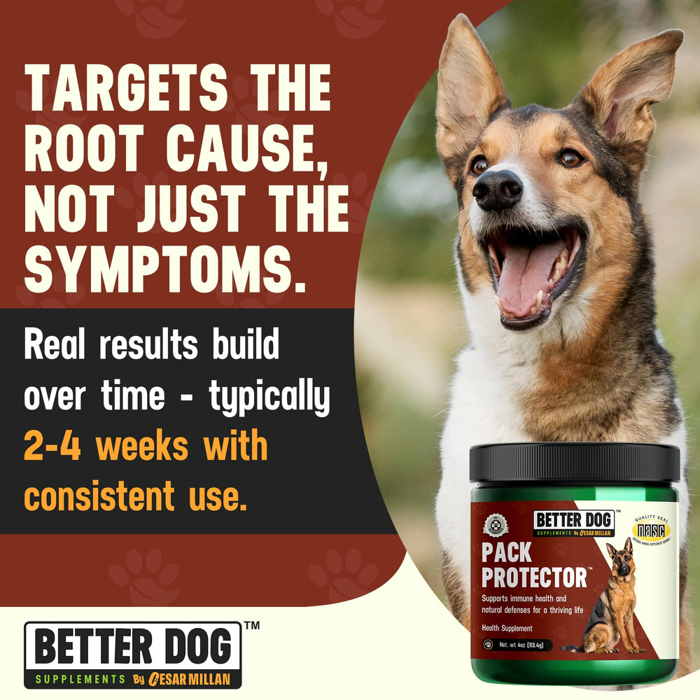 Better Dog Supplements Pack Protector – préparation rapide à ajouter à la nourriture