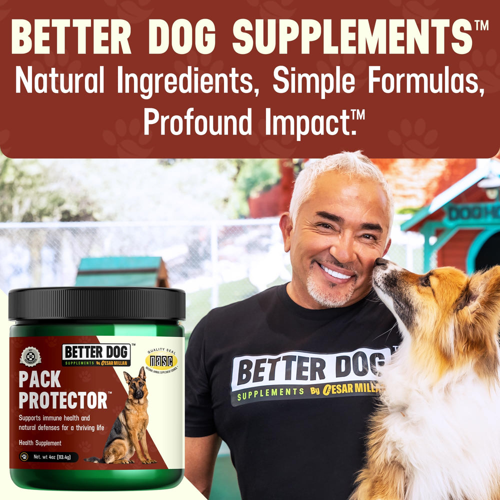 Better Dog Supplements Pack Protector – routine quotidienne pour le bien-être canin