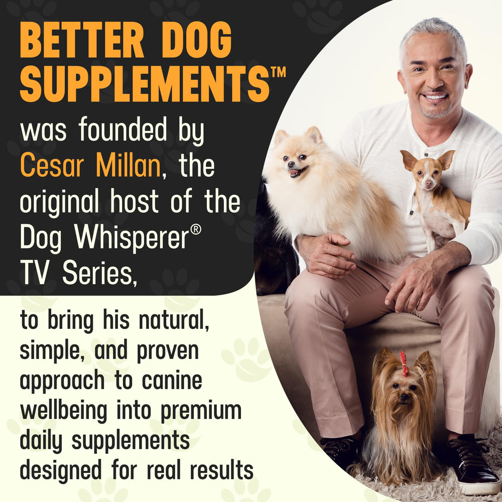 Better Dog Supplements Pack Protector – usage quotidien simple et efficace