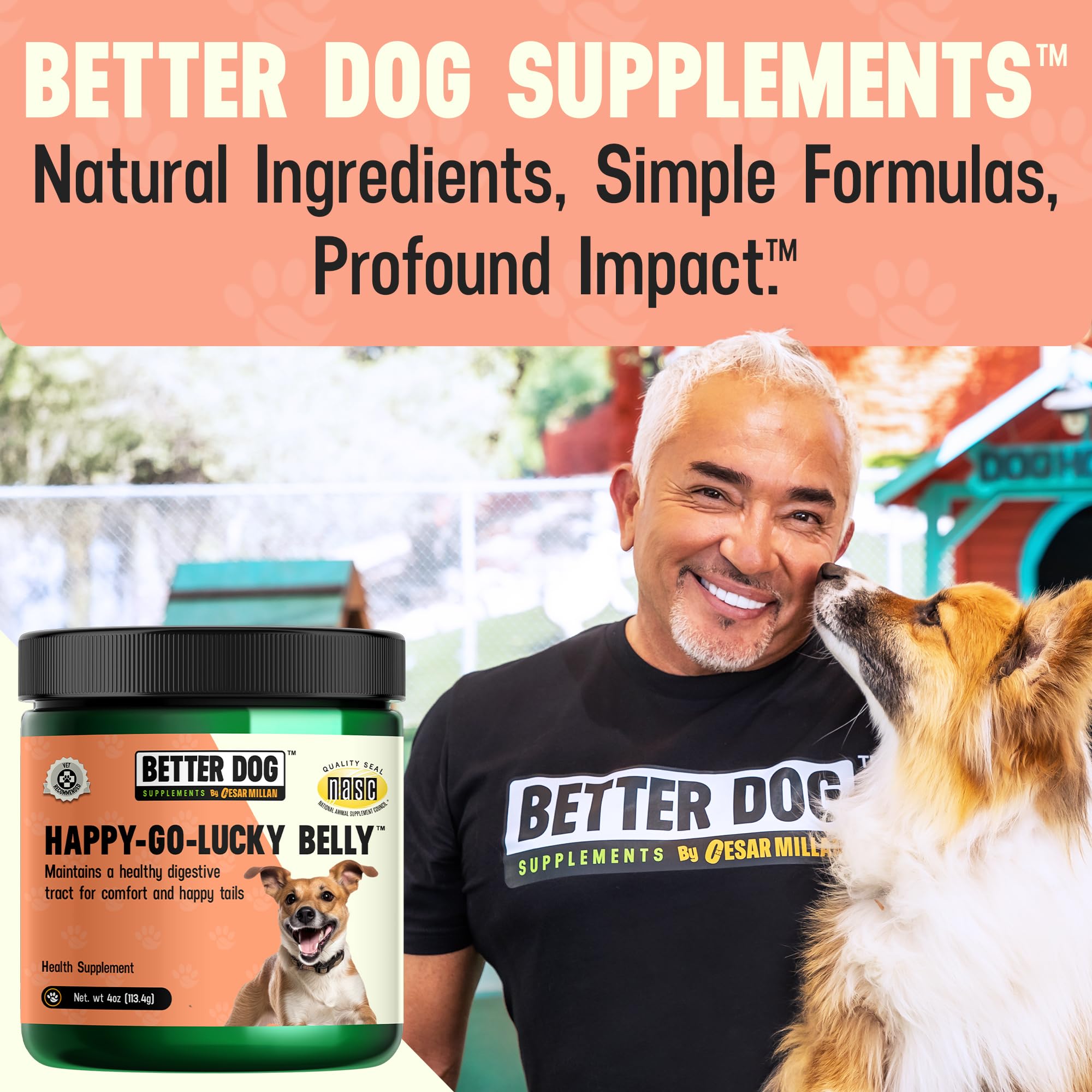 Better Dog Supplements par Cesar Millan – confort et énergie potentiels après ingestion.