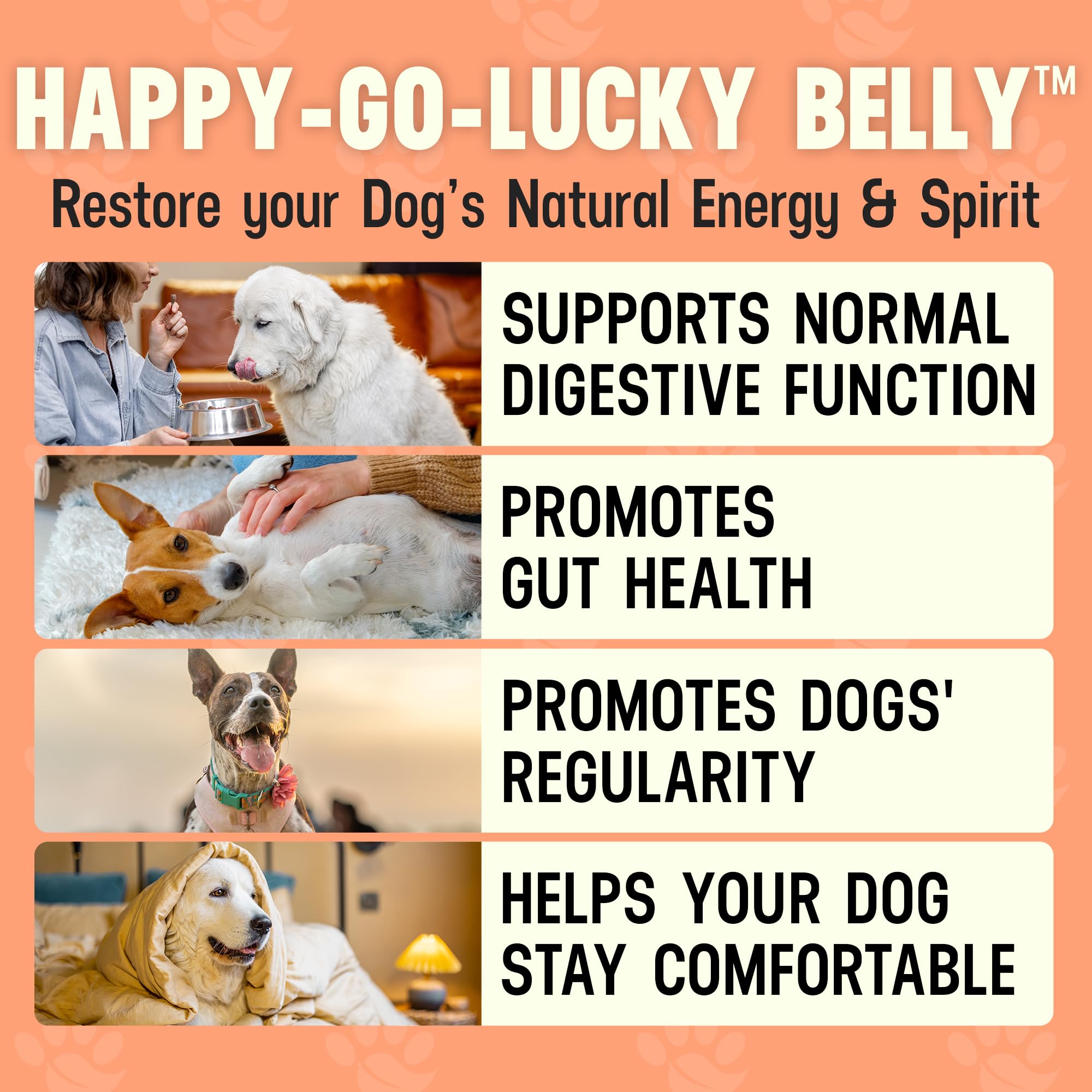 Better Dog Supplements par Cesar Millan – cuillère-dose montrant dosage pratique pour chiens.