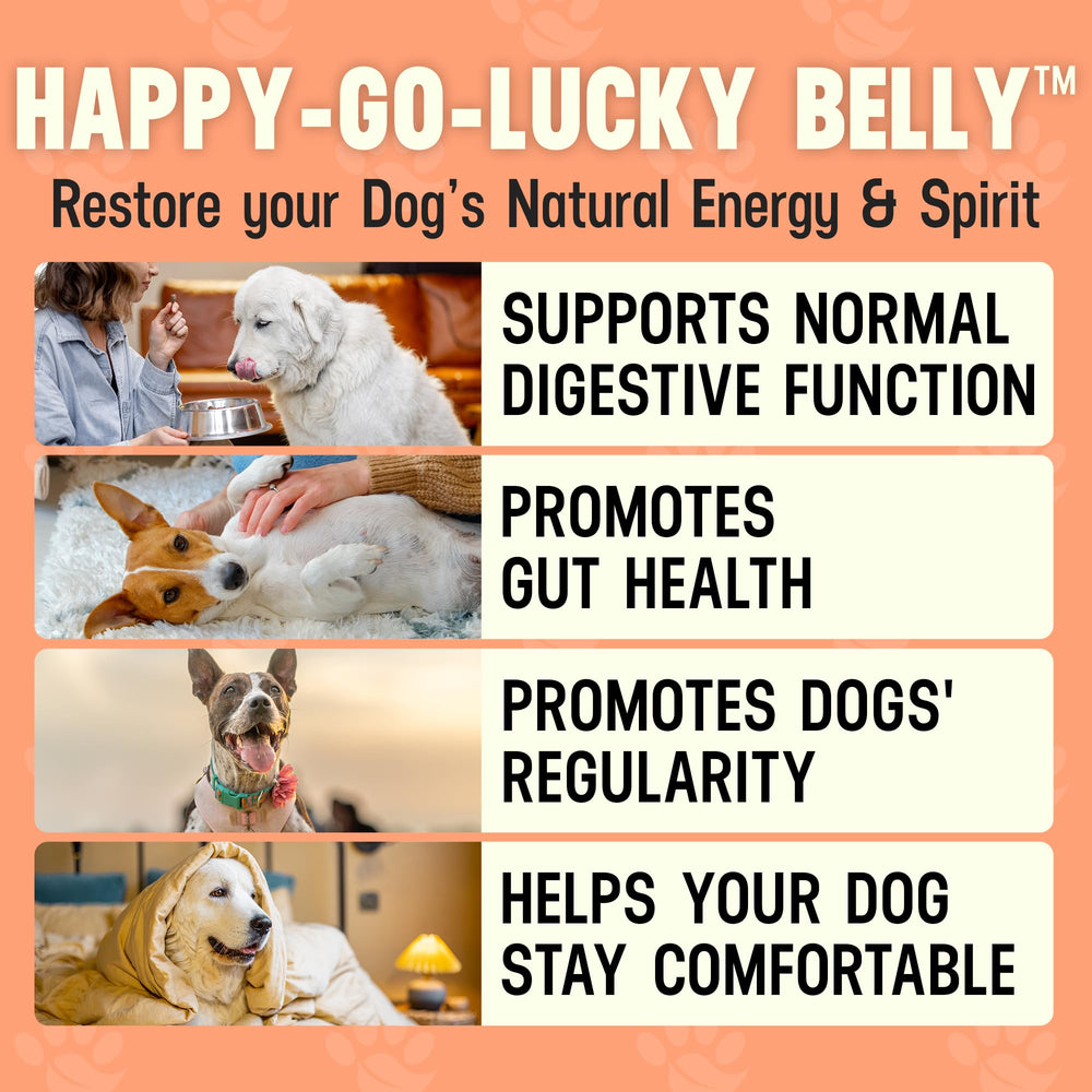 Better Dog Supplements par Cesar Millan – cuillère-dose montrant dosage pratique pour chiens.