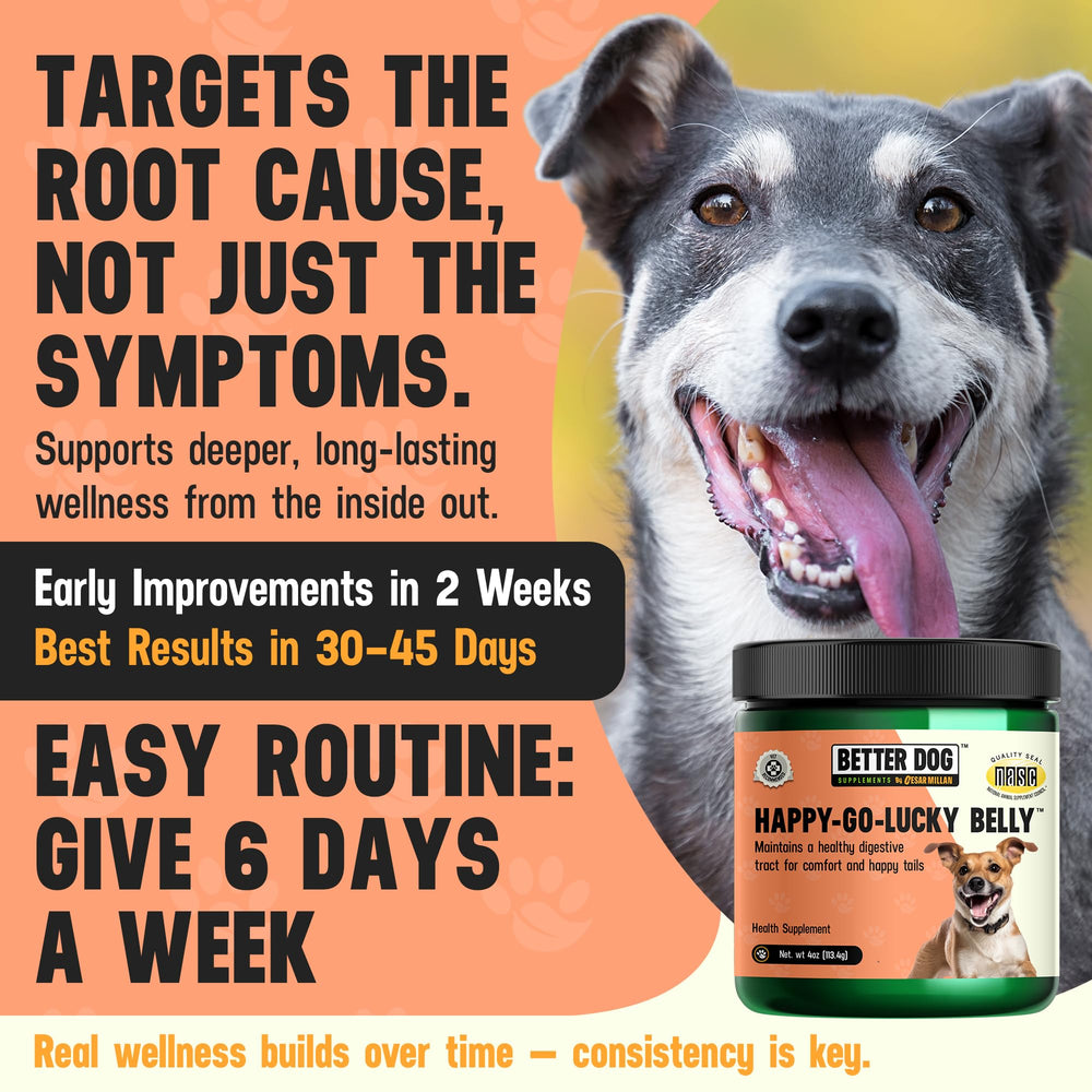 Better Dog Supplements par Cesar Millan – poudre-prélevant intégration simple dans le repas.
