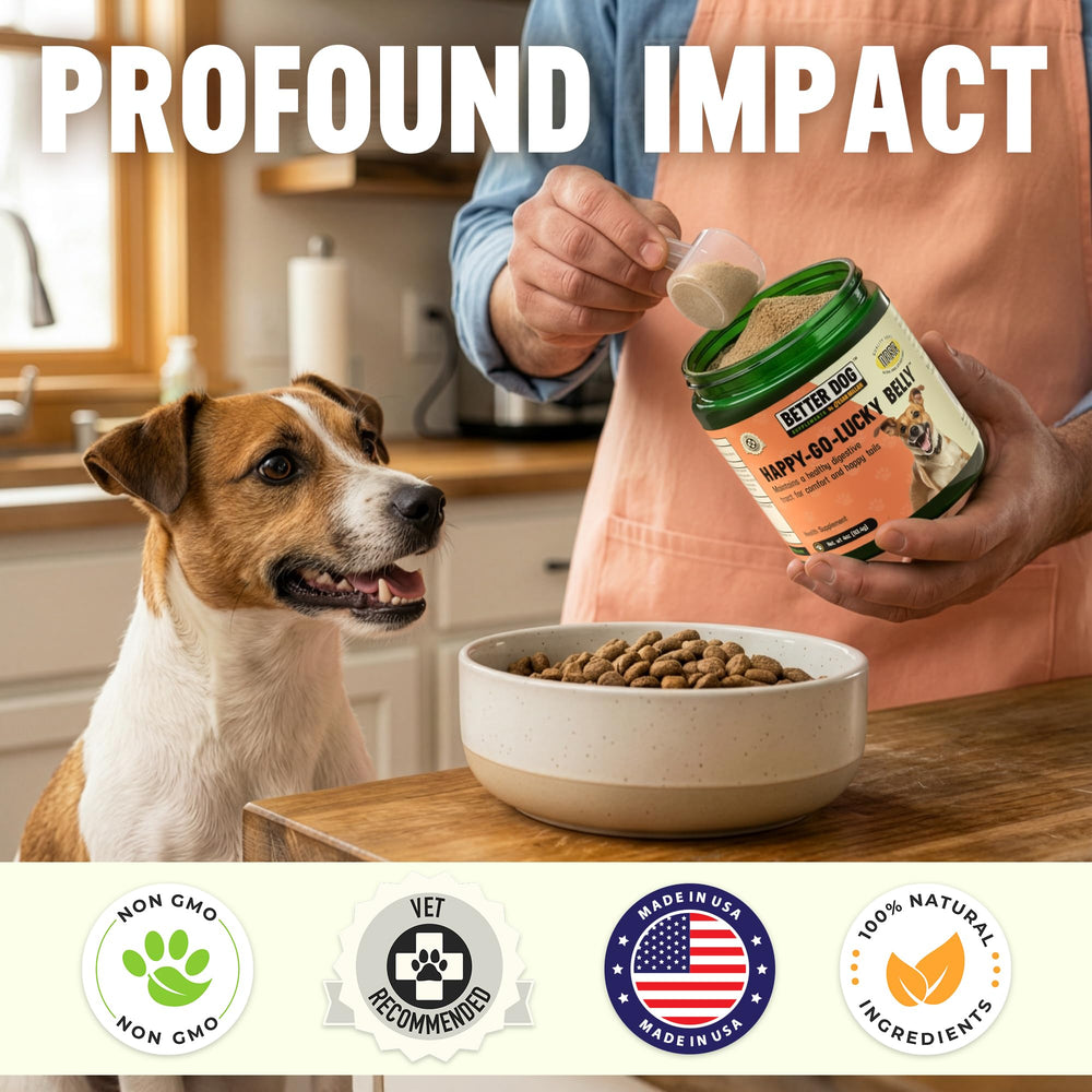 Better Dog Supplements par Cesar Millan – préparation-quotidienne facile à ajouter à la nourriture.