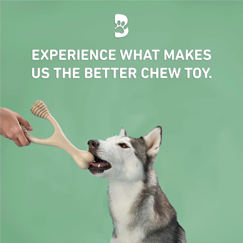 BetterBone composition sans nylon, garantissant une mastication non toxique.