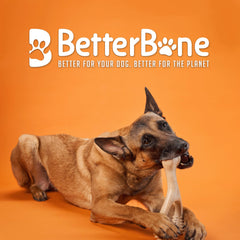 BetterBone sans nylon, melange cellulose et huile vegetale securisant.