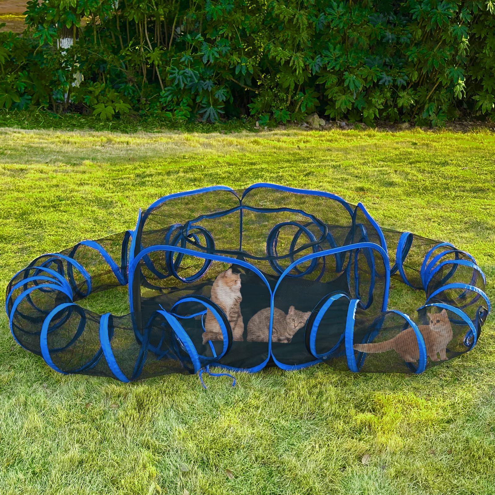 Aire de jeu hexagonale Betyman de 14 pieds carrés pour petits animaux.