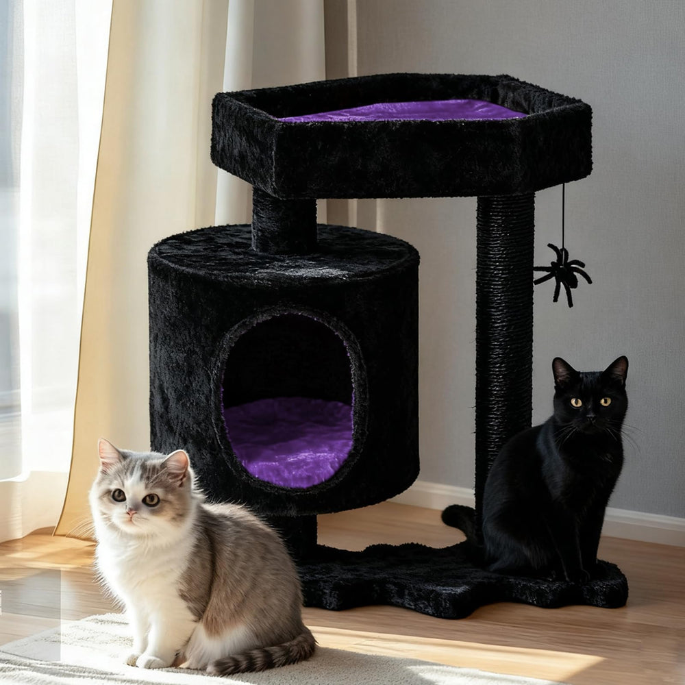 BEWISHOME Arbre à chat cercueil-lit violet et noir, refuge cocooning pour le repos nocturne.
