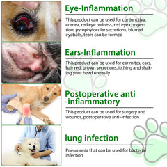 Beyxdu antibiotiques pour chiens, mélange à ajouter à la nourriture pour faciliter l’administration.